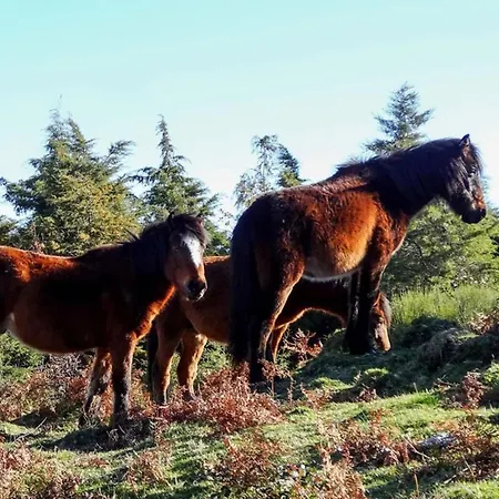 Just Like - Casa Antonio Em بيت للعطل *