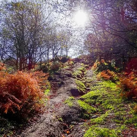 Just Like - Casa Antonio Em * باريديس دي كورا