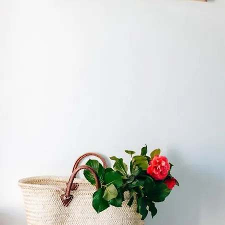 Dom wakacyjny Just Like - Casa Antonio Em