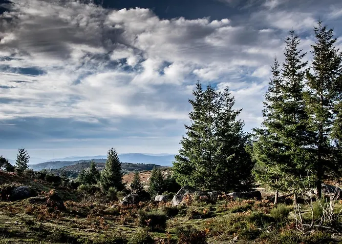 Just Like - Casa Antonio Em * פארדס דה קורה