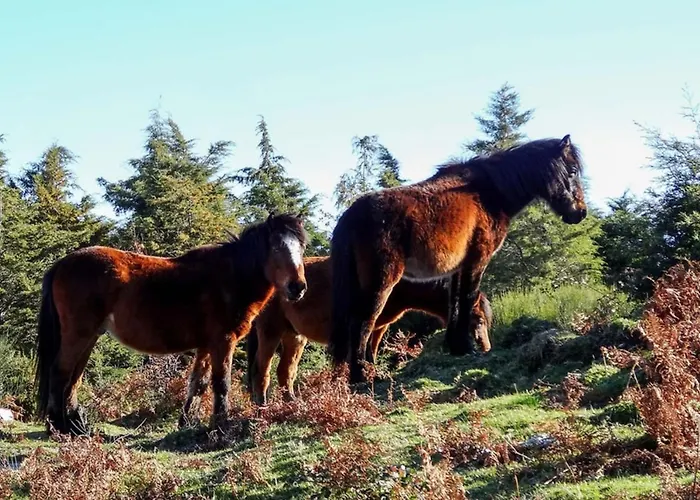 Just Like - Casa Antonio Em בית נופש *