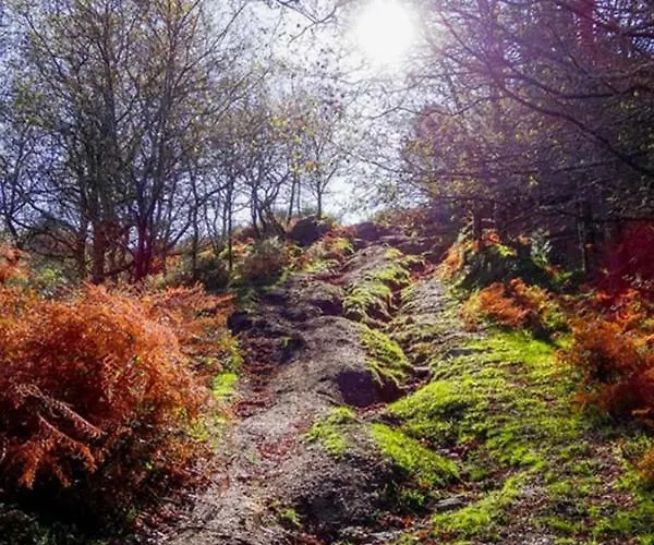 Just Like - Casa Antonio Em * פארדס דה קורה