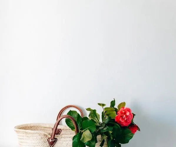 別荘 Just Like - Casa Antonio Em